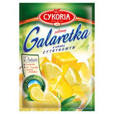 CHICORY-GELEE MIT ZITRONENGESCHMACK 75 G - Biolaboratorium